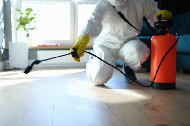 Reliable Odor Removal contractor in Newport, OR by Trauma Clean Pros